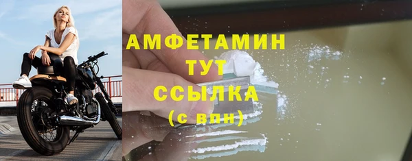 стаф Белокуриха